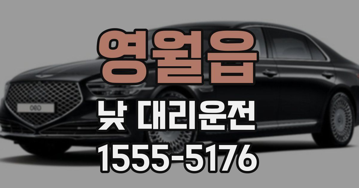 영월읍 낮 대리운전