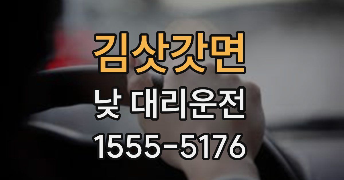 김삿갓면 낮 대리운전