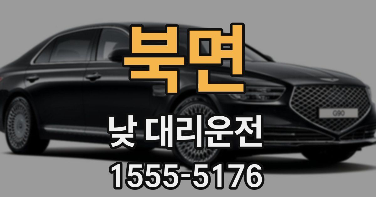 북면 낮 대리운전