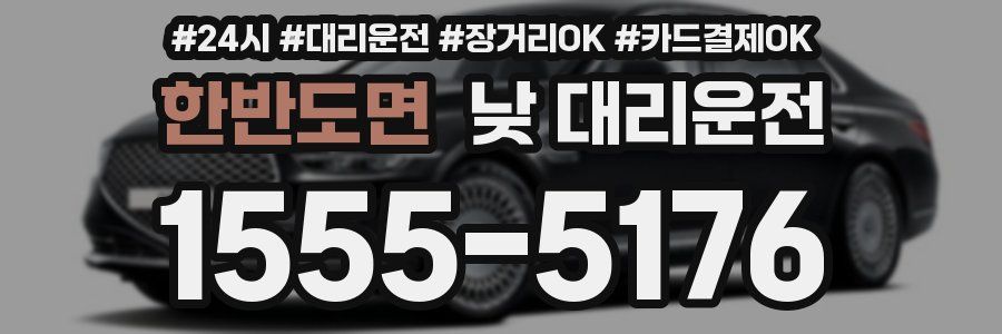 한반도면 낮 대리운전