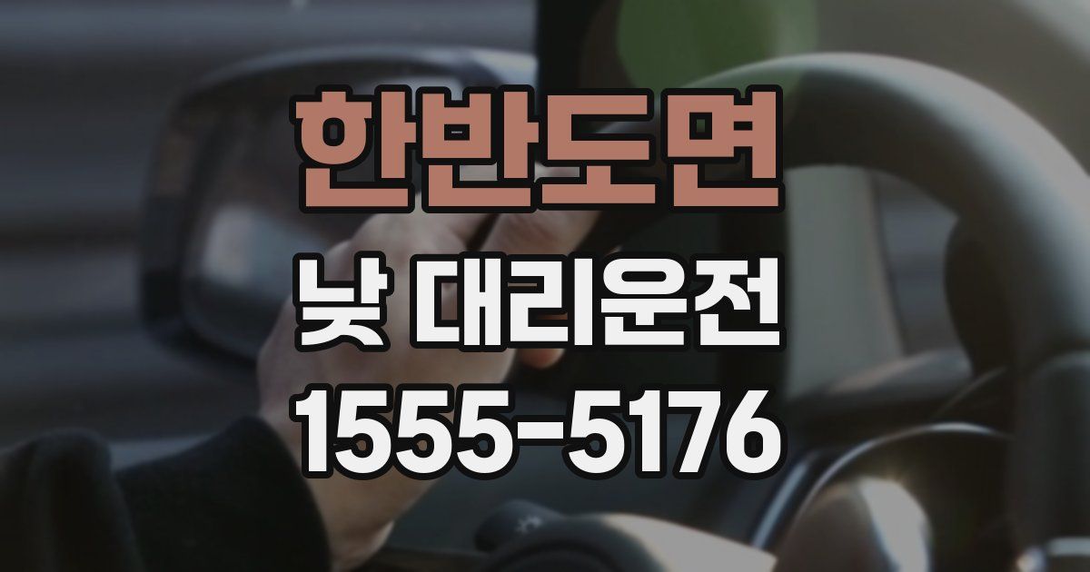 한반도면 낮 대리운전