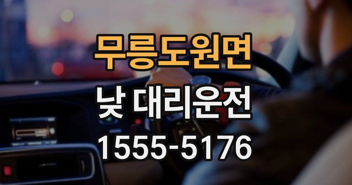 무릉도원면 낮 대리운전