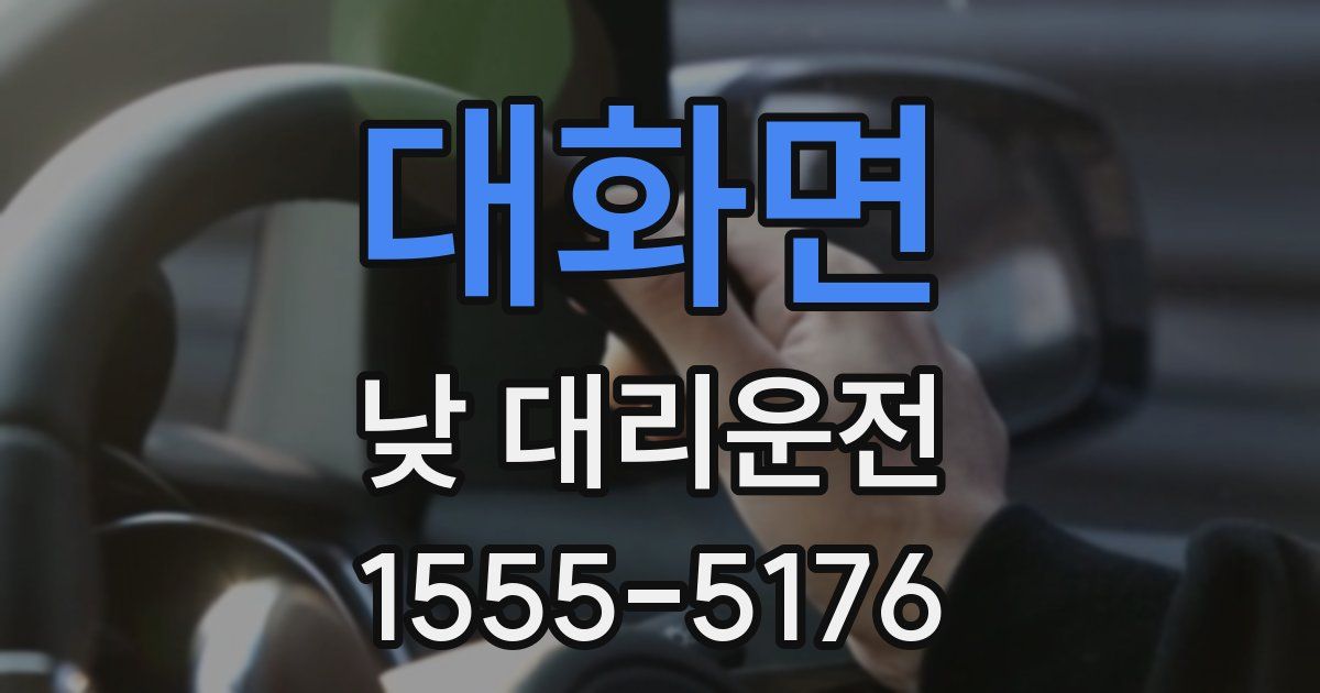 대화면 낮 대리운전