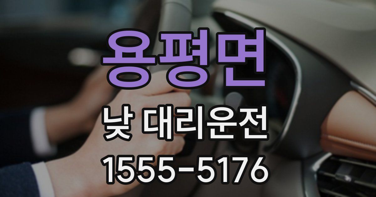용평면 낮 대리운전