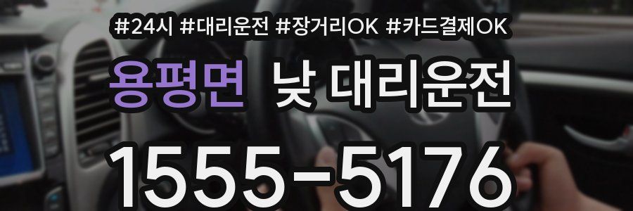 용평면 낮 대리운전