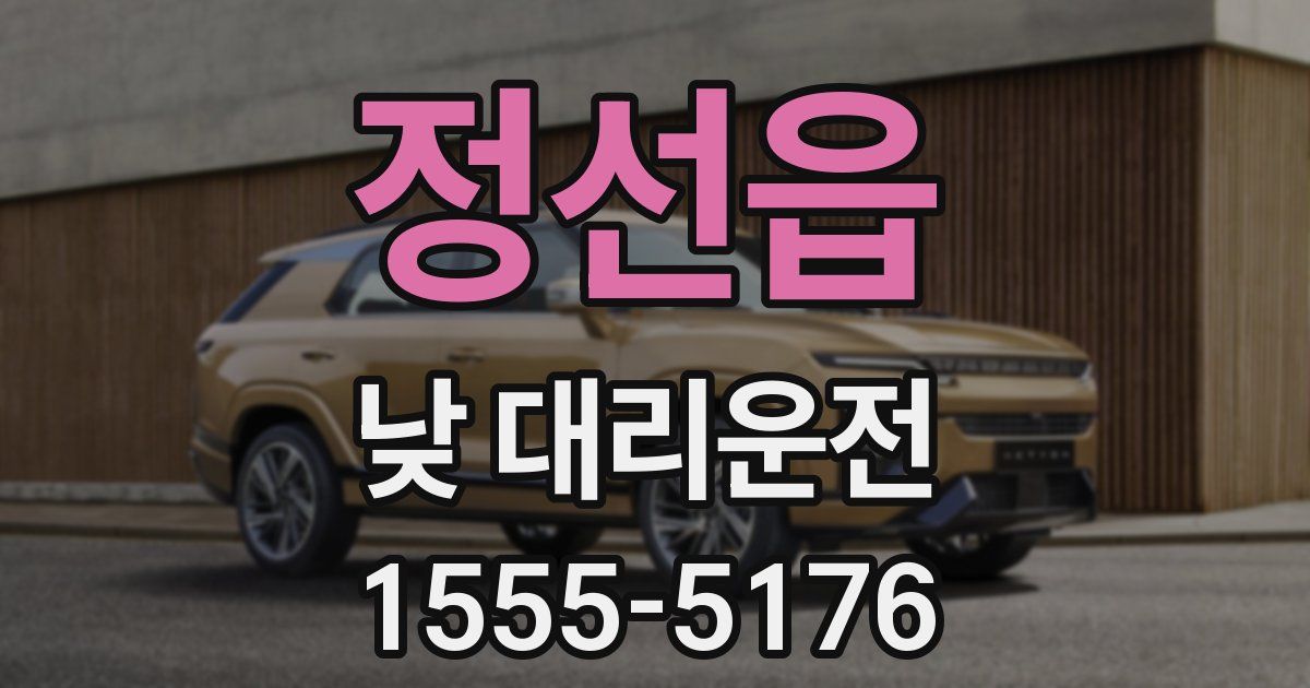 정선읍 낮 대리운전