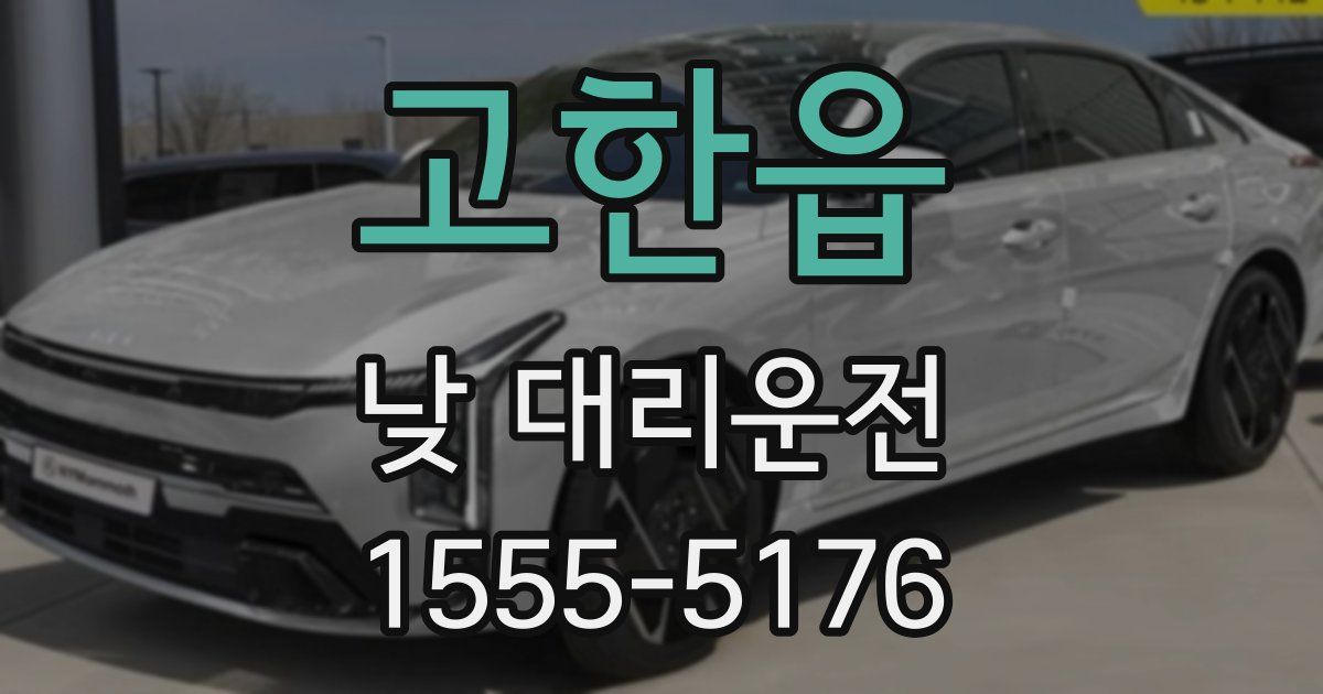 고한읍 낮 대리운전