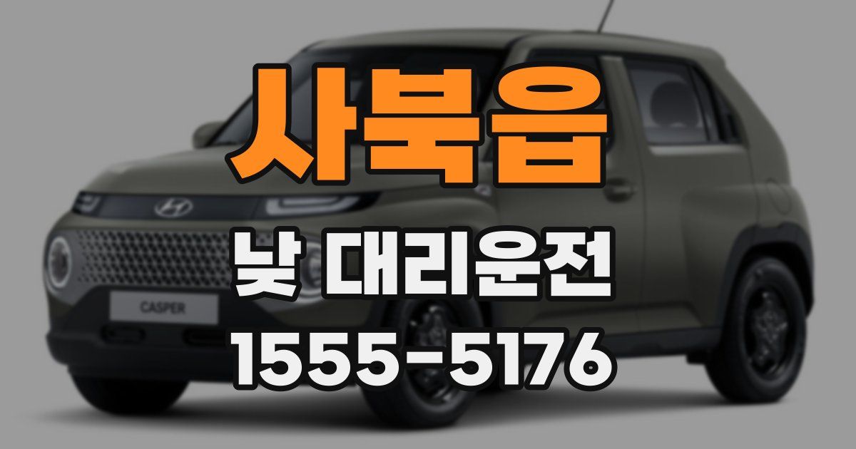 사북읍 낮 대리운전