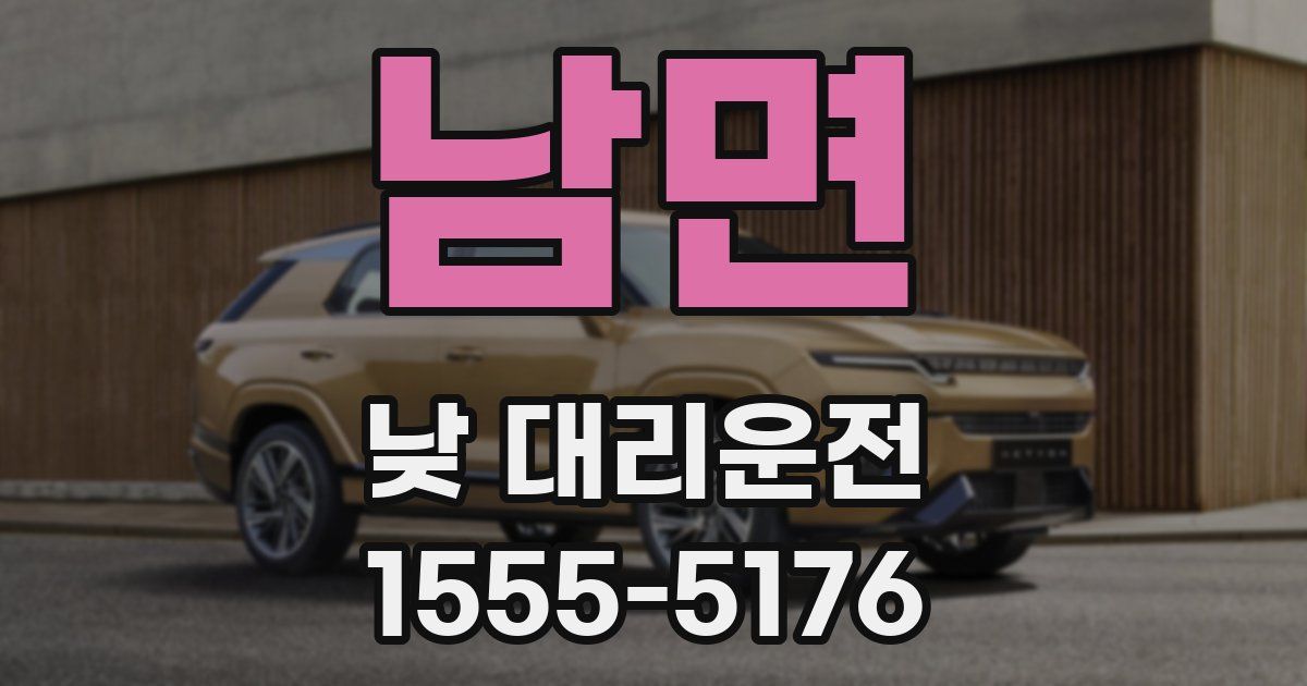 남면 낮 대리운전