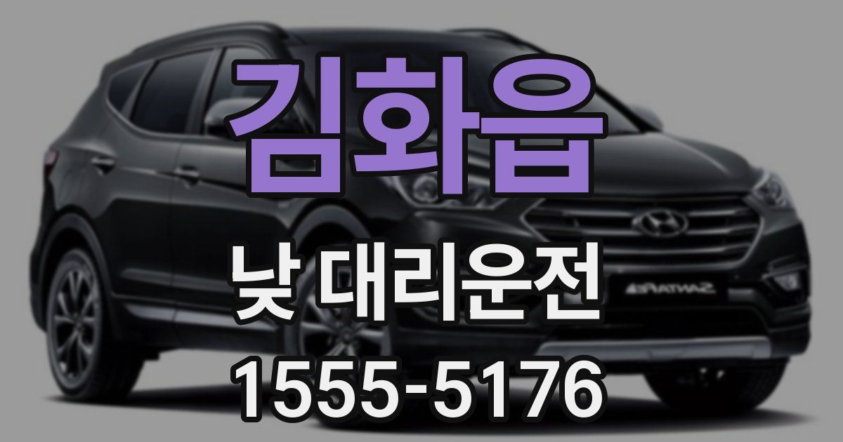 김화읍 낮 대리운전