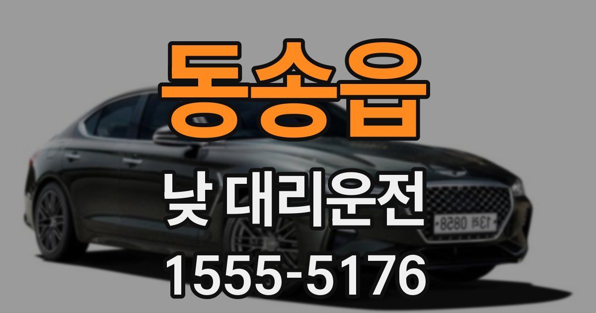 동송읍 낮 대리운전