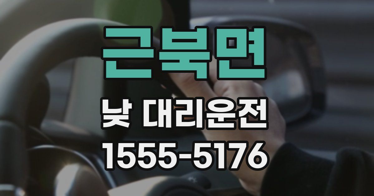 근북면 낮 대리운전