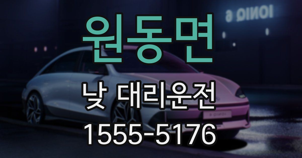 원동면 낮 대리운전