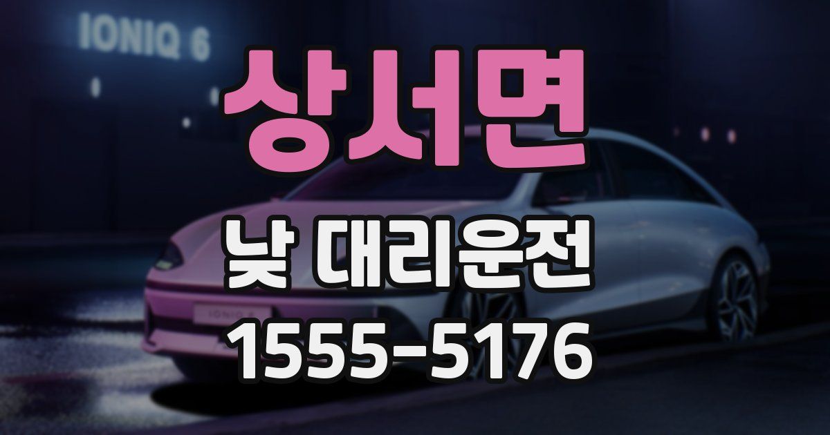 상서면 낮 대리운전