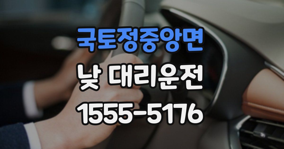 국토정중앙면 낮 대리운전