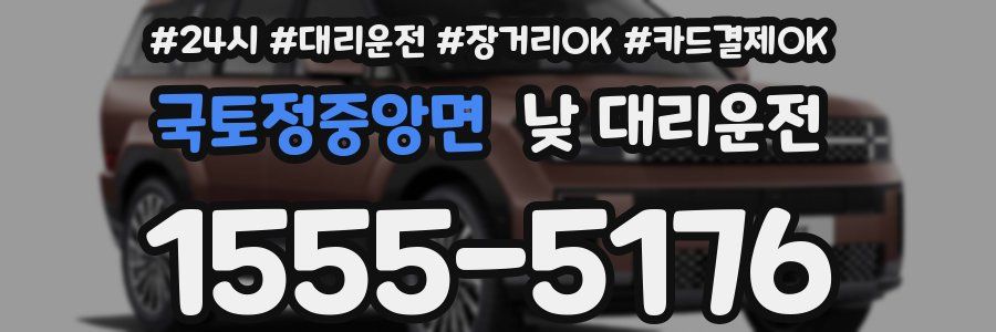 국토정중앙면 낮 대리운전