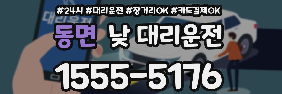 동면 낮 대리운전