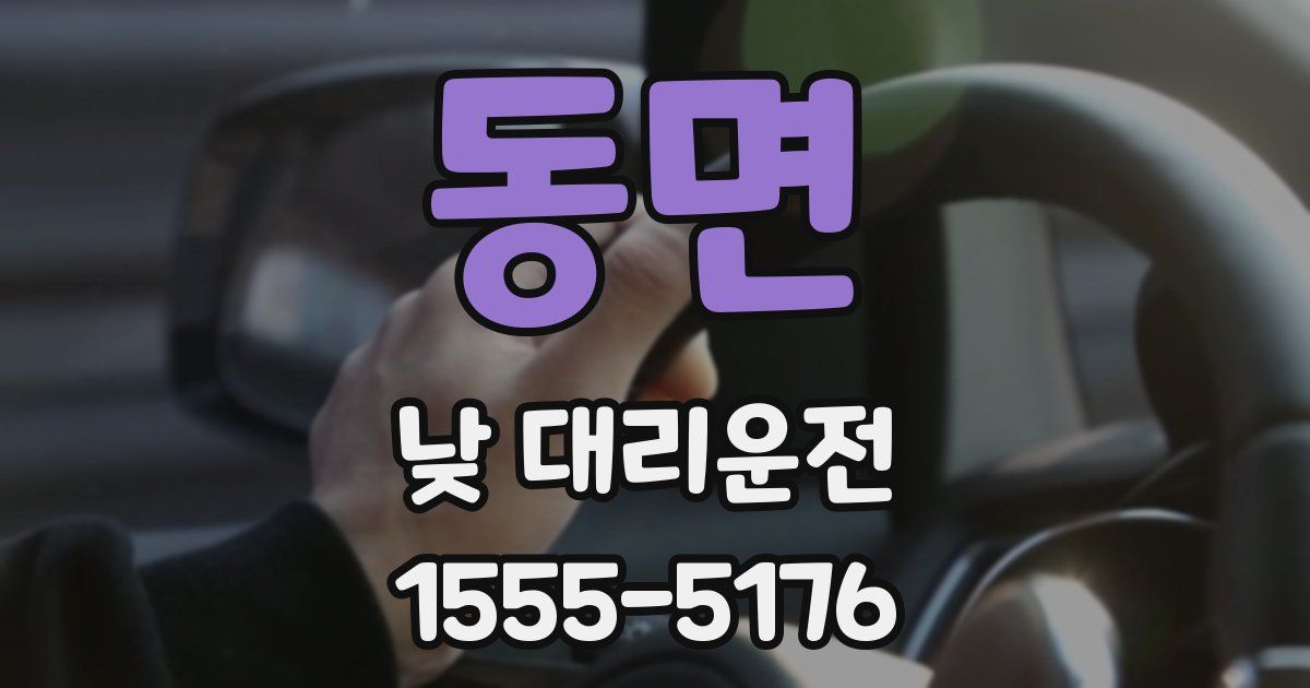 동면 낮 대리운전