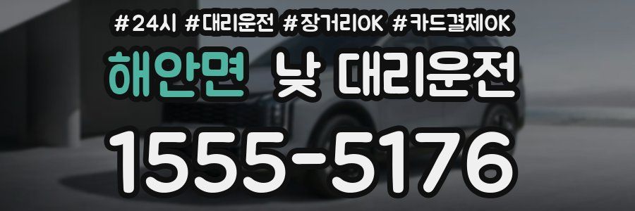 해안면 낮 대리운전