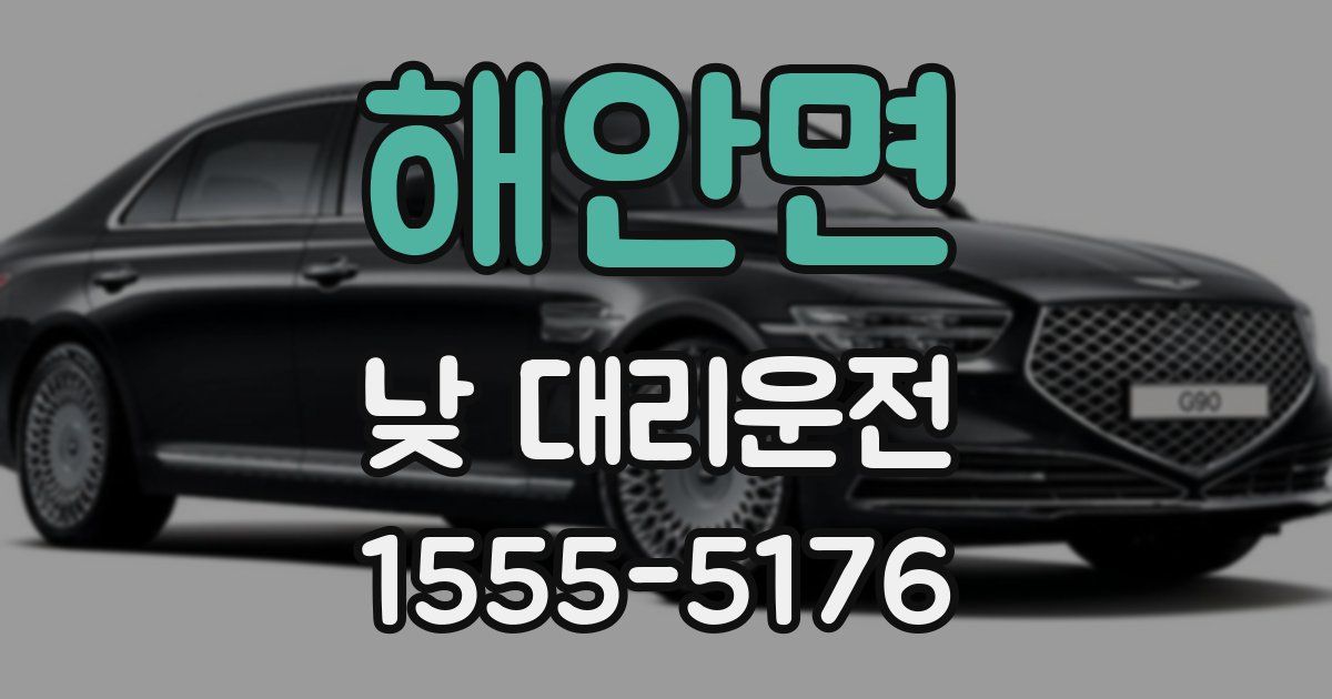 해안면 낮 대리운전
