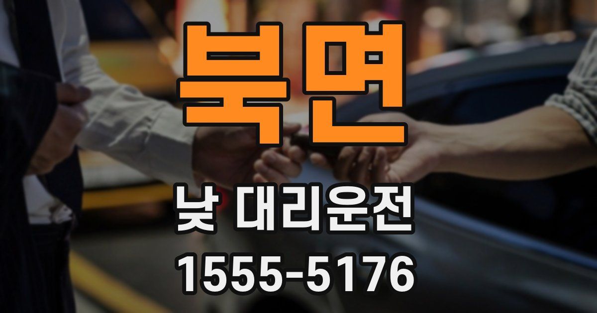 북면 낮 대리운전