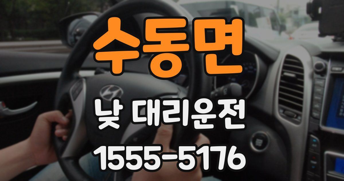 수동면 낮 대리운전