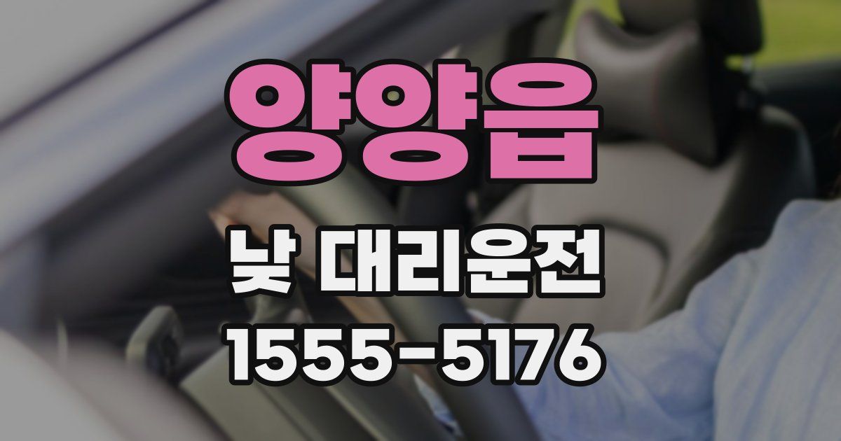 양양읍 낮 대리운전