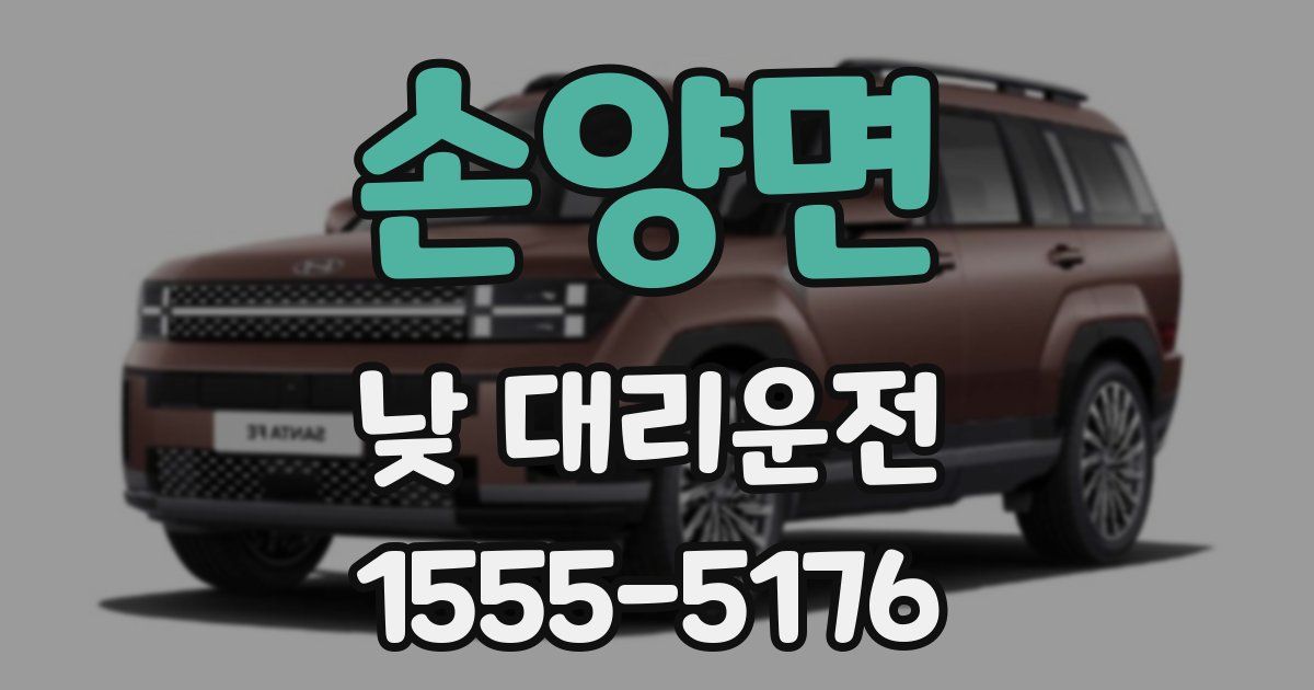 손양면 낮 대리운전