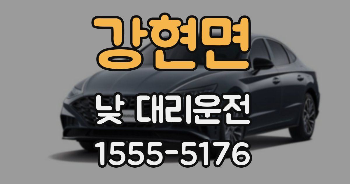 강현면 낮 대리운전