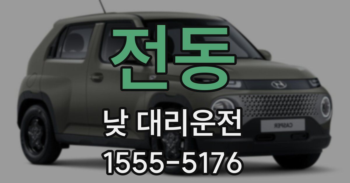 전동 낮 대리운전