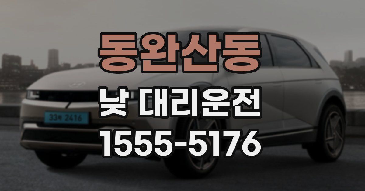 동완산동 낮 대리운전