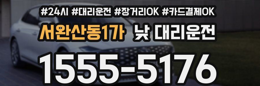서완산동1가 낮 대리운전