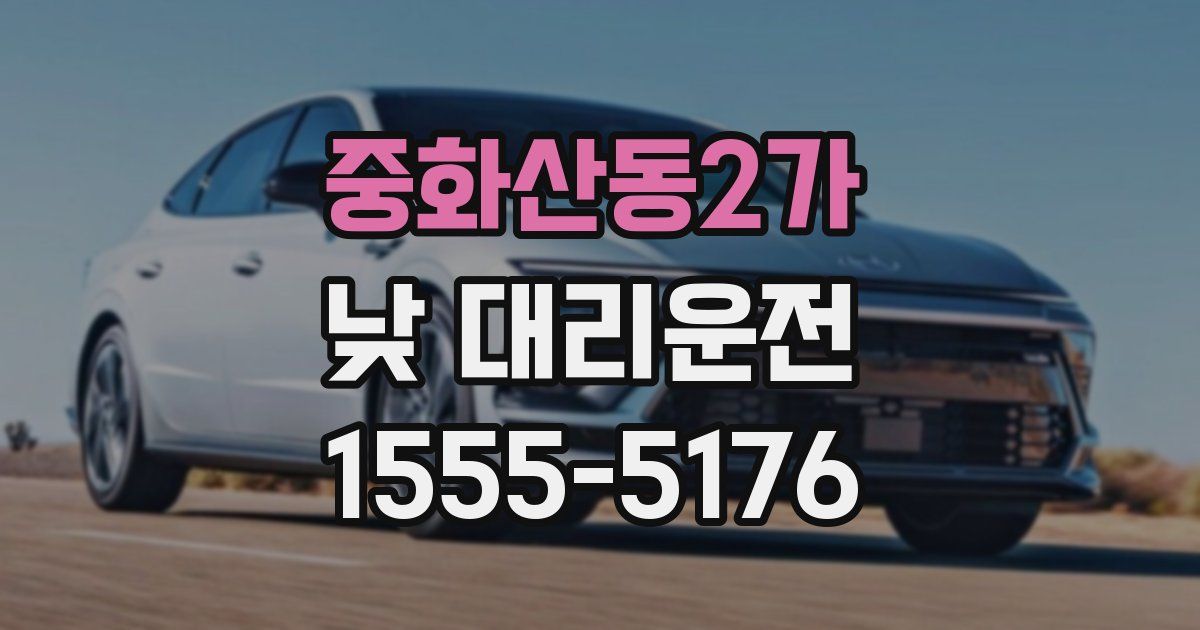 중화산동2가 낮 대리운전