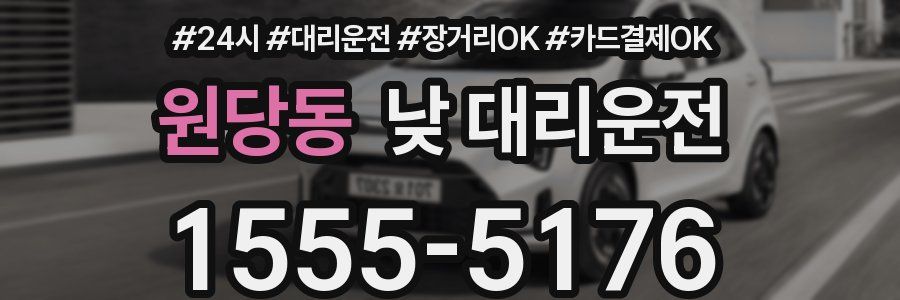 원당동 낮 대리운전