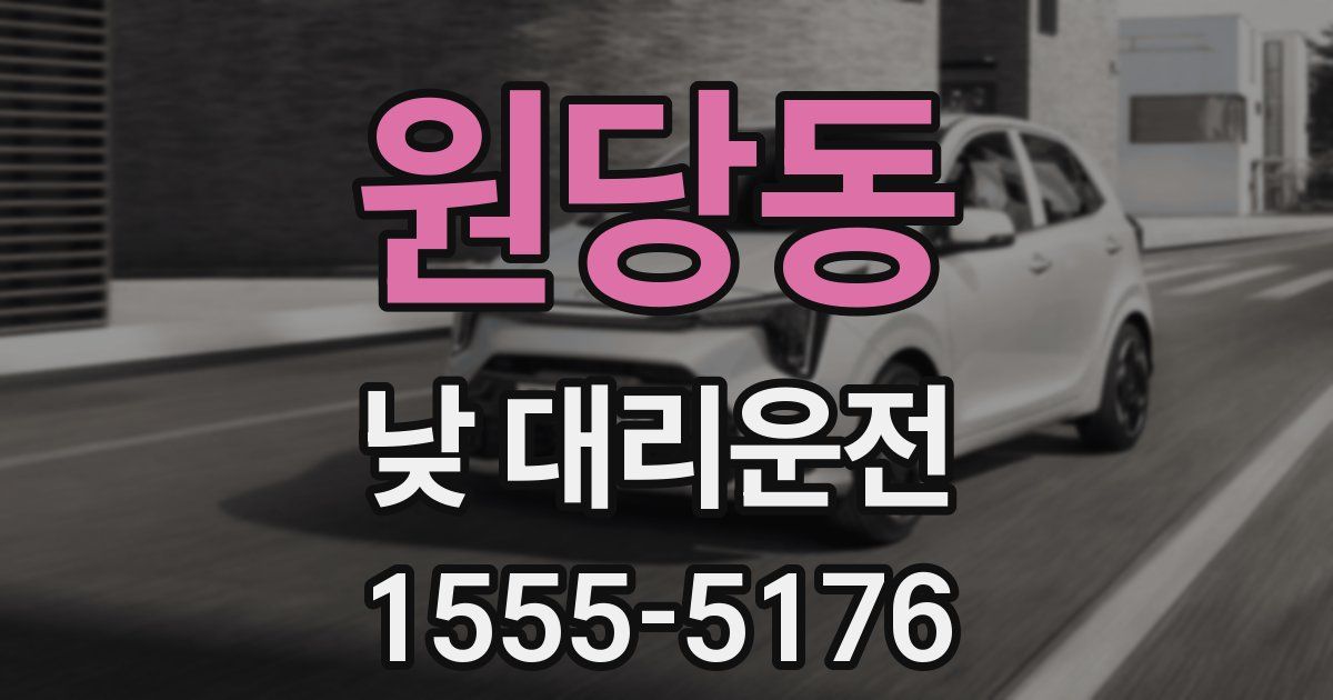 원당동 낮 대리운전