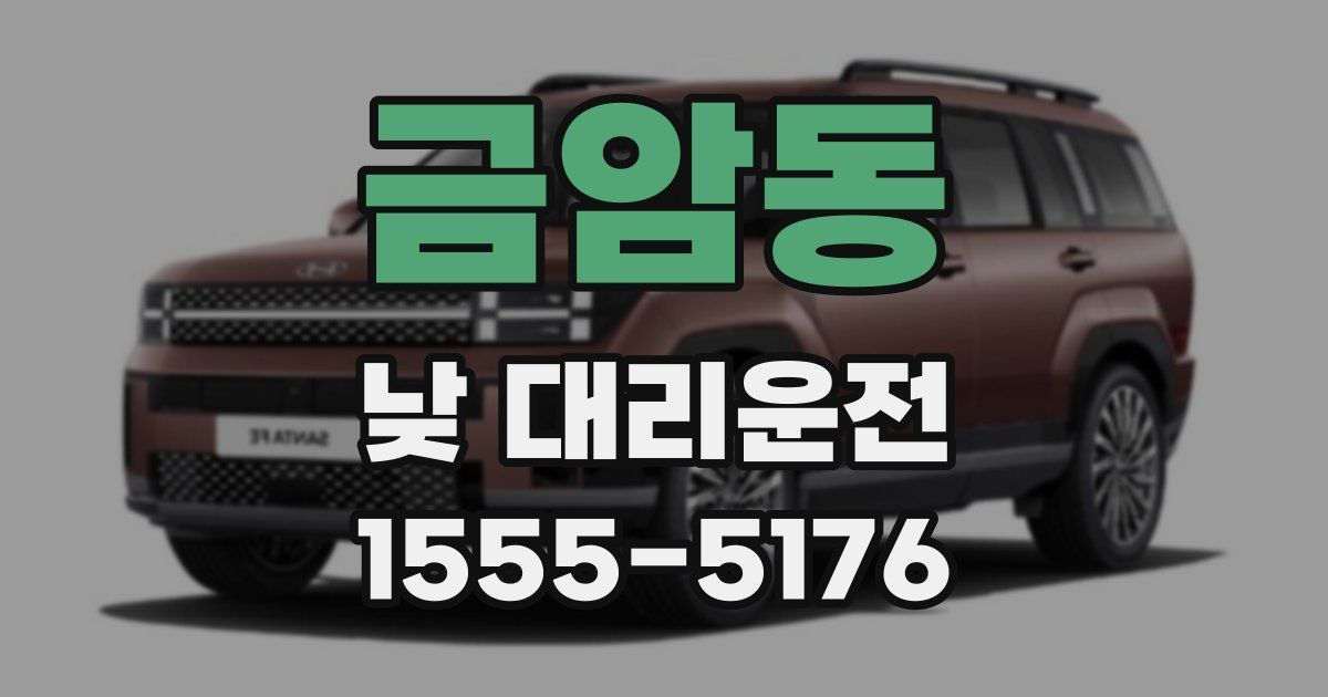 금암동 낮 대리운전