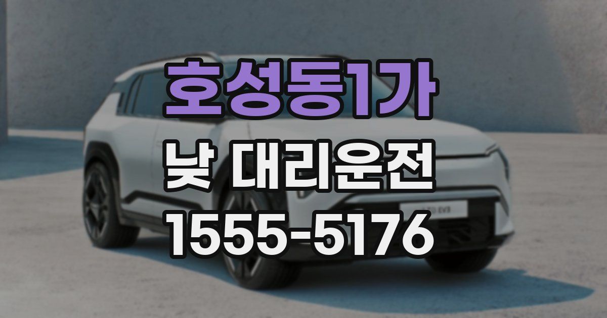 호성동1가 낮 대리운전