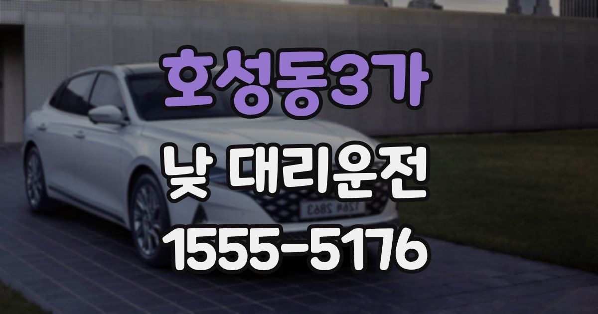 호성동3가 낮 대리운전