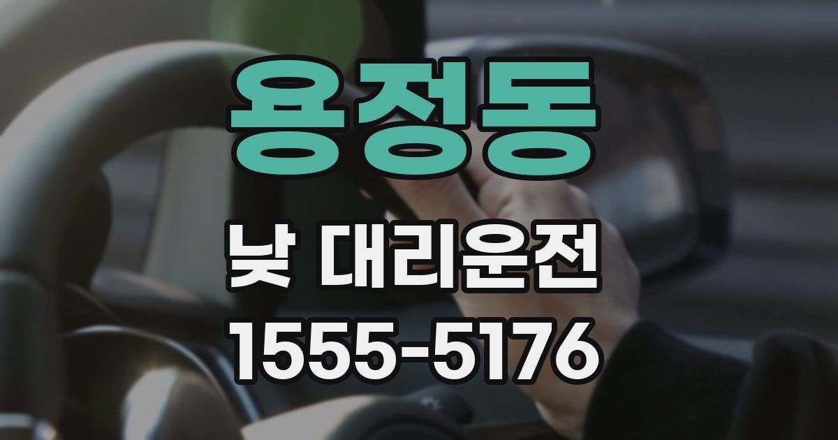 용정동 낮 대리운전