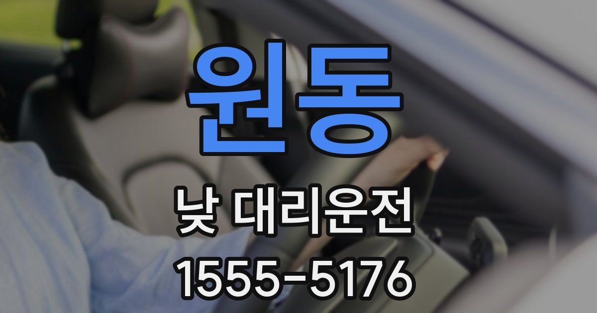 원동 낮 대리운전