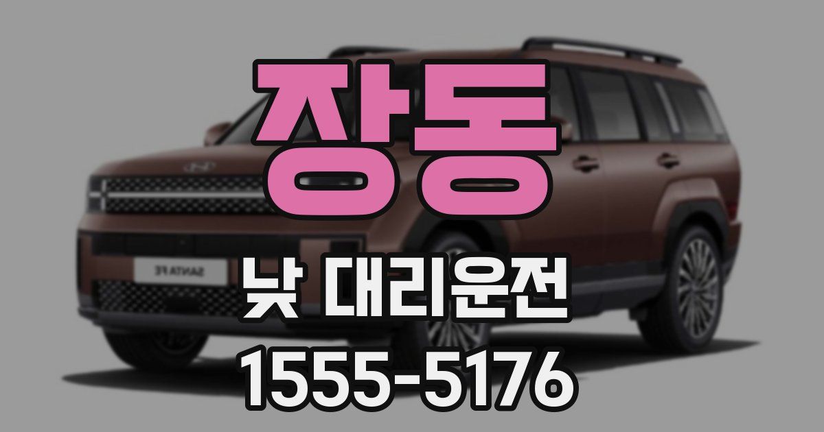 장동 낮 대리운전