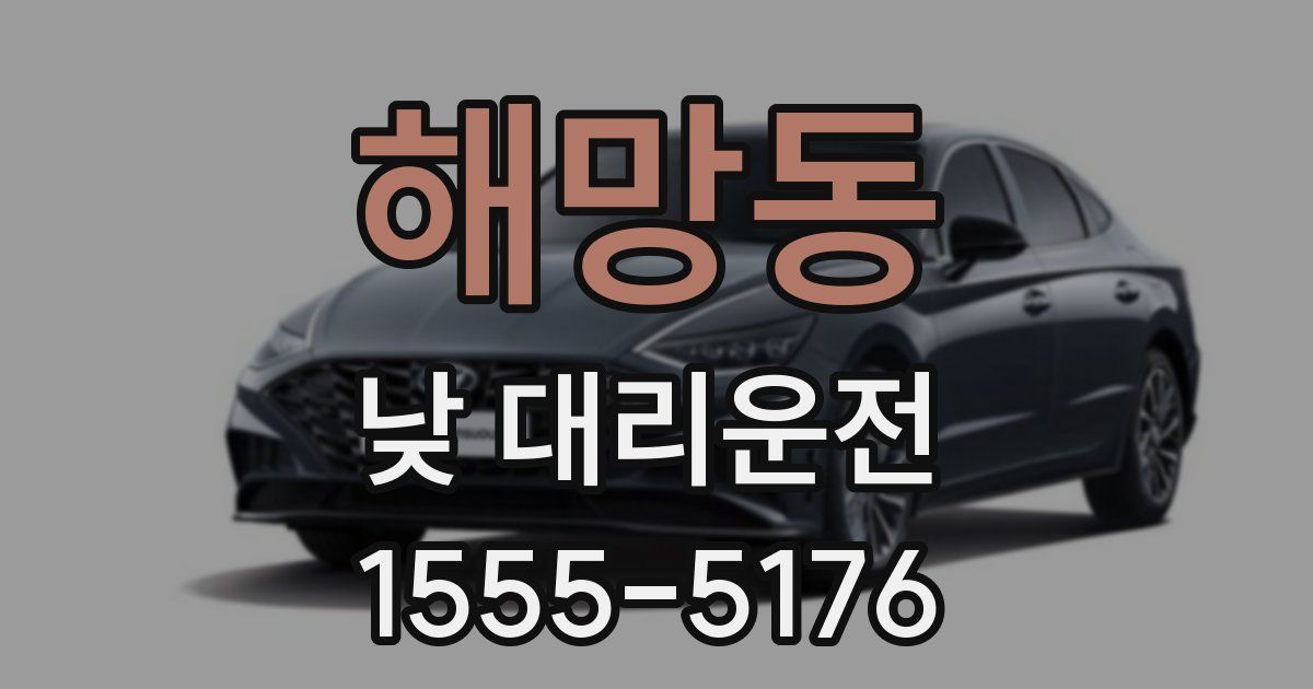 해망동 낮 대리운전