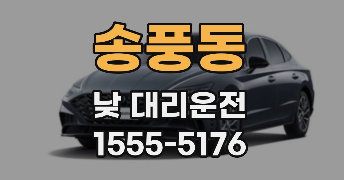 송풍동 낮 대리운전