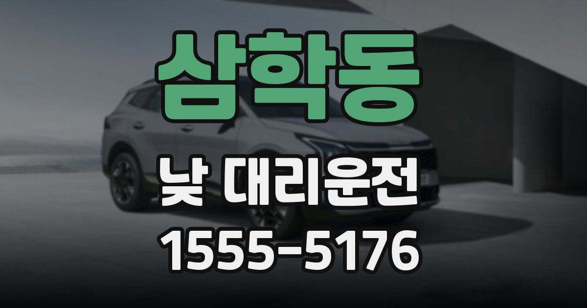 삼학동 낮 대리운전