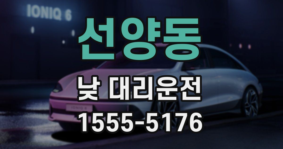 선양동 낮 대리운전