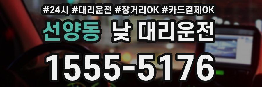 선양동 낮 대리운전