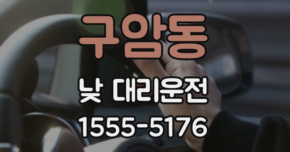 구암동 낮 대리운전