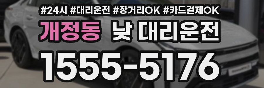 개정동 낮 대리운전