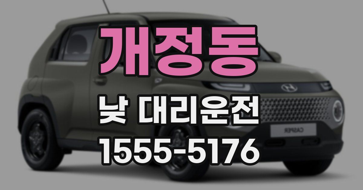 개정동 낮 대리운전