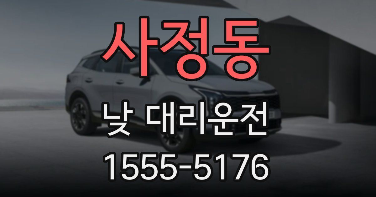 사정동 낮 대리운전